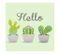 Lot De 20 Serviettes En Papier "hello Cactus" 33x33cm Vert