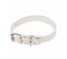 Collier Pour Chien "design Uni" 30cm Blanc