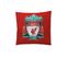 Housse De Couette Fc Liverpool 140x200 Cm Et Taie D'oreiller - 100% Coton