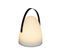 Lampe D'extérieur LED Blanc Chaud D 21 X H 30 Cm