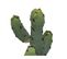 Plante Artificielle Cactus En Pot Céramique H 24 Cm