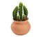 Cactus pot H. 17 cm UTIA Terracotta