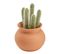 Cactus pot H. 17 cm UTIA Terracotta