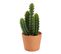Cactus pot terra H.  30 cm UNIA Terracotta