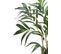 Palmier avec pot H80 cm  Vert / Naturel