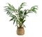 Palmier avec pot H80 cm  Vert / Naturel