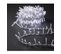 Guirlande Lumineuse Extérieur 50 M 2000 LED Blanc Froid Et 8 Jeux De Lumière