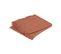 Lot De 2 Serviettes De Table En Coton Terracotta Finition Frange 40 X 40 Cm