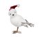 Déco De Noël Oiseau Blanc Avec Bonnet Rouge 13 X 8 X H 14 Cm