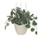 Plante Tombante Artificielle Pot Blanc H 80 Cm