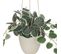 Plante Tombante Artificielle Pot Blanc H 80 Cm