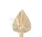 Mini Bouquet De Fleurs Naturelles "seav" 30cm Beige