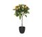 Plante Artificielle Oranger En Pot H 62 Cm