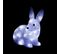 Lapin Lumineux Extérieur H24 Cm 30 LED - Blanc Froid