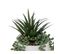 Plantes Artificielles Visage Pot Blanc H 25 Cm