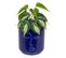 Plante Verte Artificielle Dans Pot En Céramique Bleu Navy H 30 Cm