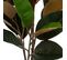 Plante Artificielle Magnolia En Pot H 76 Cm