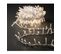 Guirlande Lumineuse Extérieur 25 M 1000 LED Blanc Chaud Et 8 Jeux De Lumière