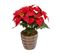 Plante Artificiel Poinsettia Étoile De Noël Rouge Pailleté En Pot  H 22 Cm