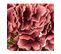 Fleur Artificielle Tige D' Hortensia Prune H 83 Cm
