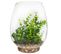 Terrarium H. 25 cm TENERIFE Vert