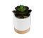 Plante Artificielle Succulente Pot Céramique Et Bois