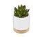 Plante Artificielle Succulente Pot Céramique Et Bois