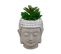 Plante Artificielle Succulente Pot Bouddha