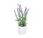 Plante Artificielle Lavande En Pot H 34 Cm