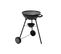 Barbecue Charbon Neka Feijoa D 43 Cm