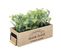 Plante Verte Artificielle Jardinière En Bois L 35 Cm