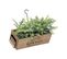 Plante Verte Artificielle Jardinière En Bois L 35 Cm