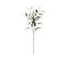 Branche D' Eucalyptus Artificiel Exotique H 90 Cm