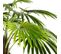 Plante Artificielle Déco "palmier" 180cm Vert