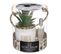 Coffret Senteur Cactus Plante Décorative Et Son Spray De Parfum