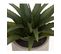 Plante Artificielle En Pot Bicolore D 28 Cm