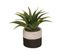 Plante Artificielle En Pot Bicolore D 28 Cm