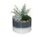 Composition Florale Artificielle Pot En Céramique Bicolore H 17.5 Cm