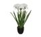 Plante Artificielle Agapanthe En Pot  H 66 Cm