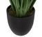 Plante Artificielle Agapanthe En Pot  H 66 Cm