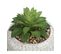 Plante Artificielle Pot Bouddha En Ciment D 13,5 X H 18 Cm