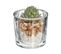 Plante Grasse Artificielle Pot En Verre D 6,5 X H 10 Cm