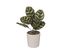 Plante Verte Artificielle Pot En Céramique D 12 X H 35 Cm