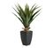 Plante artificielle H73 cm AGAVE Noir / Vert