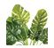 Plante Artificielle Philodendron En Pot H 70 Cm