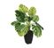 Plante Artificielle Philodendron En Pot H 70 Cm