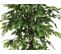 Plante artificielle H180 cm FICUS Noir / Vert