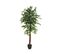 Plante artificielle H180 cm FICUS Noir / Vert