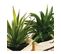 Set 2 Plantes Artificielles Aloe Vera Dans Un Panier En Métal H 21 Cm