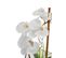 Vase ORCHIDEE COMPO Blanc/Violet